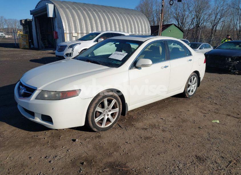 Photo 2 of 2005 Acura Tsx N/A (VIN JH4CL96885C027215)