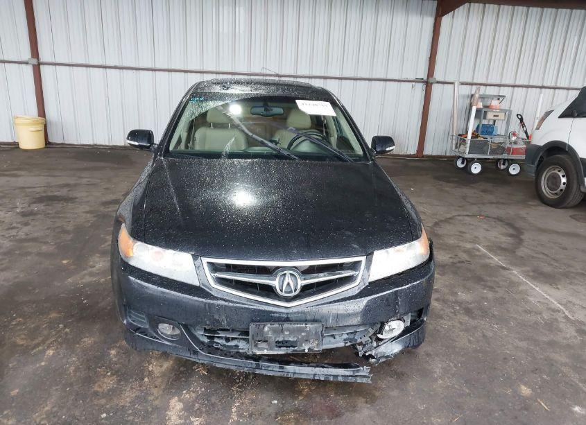 Photo 13 of 2006 Acura Tsx N/A (VIN JH4CL96886C007046)