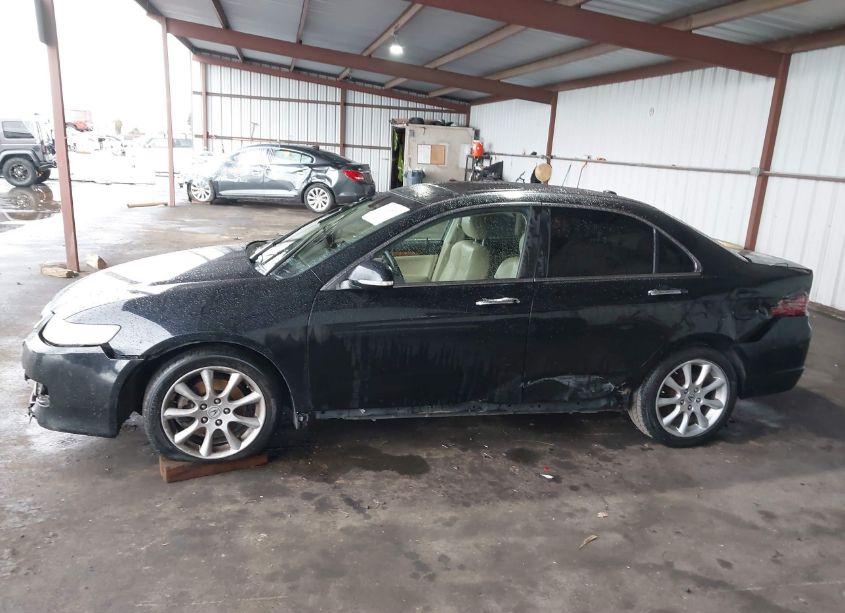 Photo 15 of 2006 Acura Tsx N/A (VIN JH4CL96886C007046)