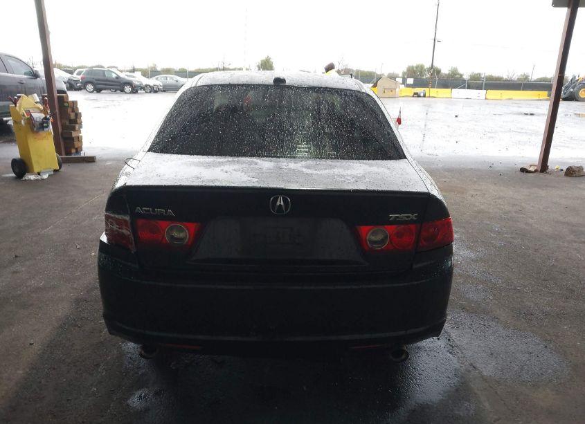 Photo 17 of 2006 Acura Tsx N/A (VIN JH4CL96886C007046)
