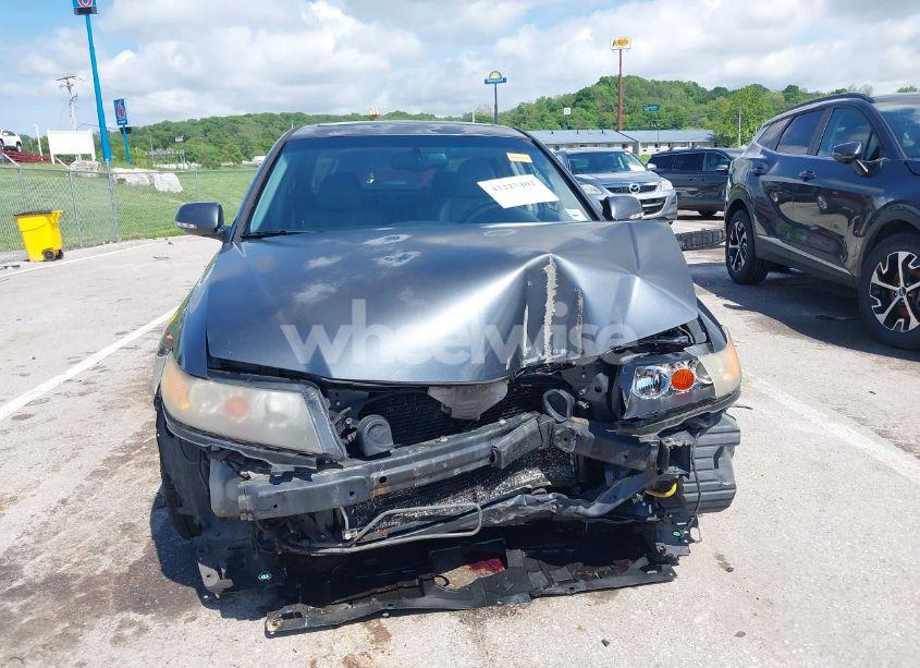 Photo 13 of 2006 Acura Tsx N/A (VIN JH4CL96886C016104)