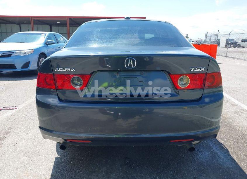 Photo 17 of 2006 Acura Tsx N/A (VIN JH4CL96886C016104)