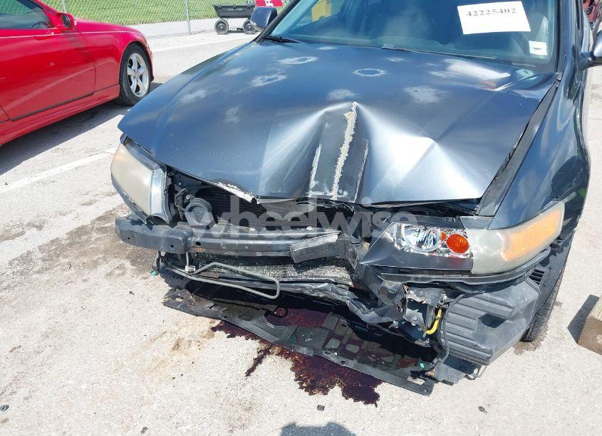 Photo 6 of 2006 Acura Tsx N/A (VIN JH4CL96886C016104)