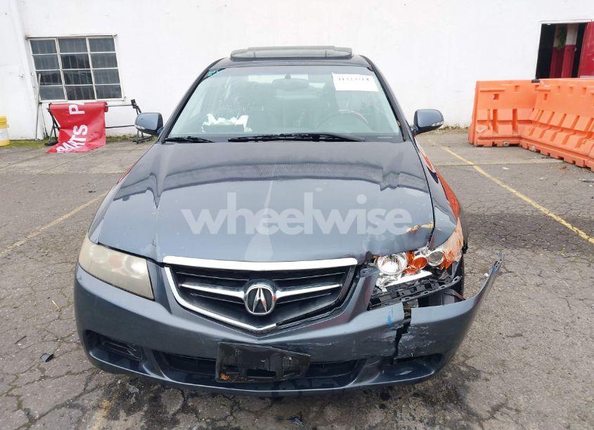 Photo 12 of 2004 Acura Tsx N/A (VIN JH4CL96894C043177)