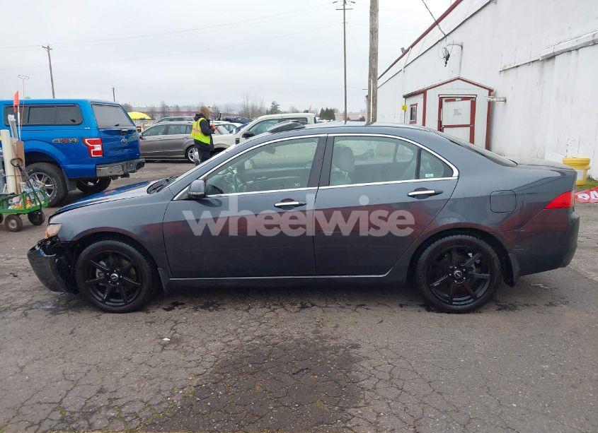 Photo 14 of 2004 Acura Tsx N/A (VIN JH4CL96894C043177)