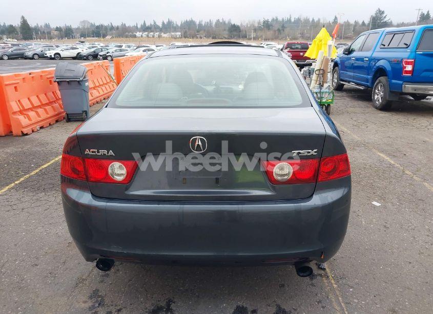 Photo 16 of 2004 Acura Tsx N/A (VIN JH4CL96894C043177)