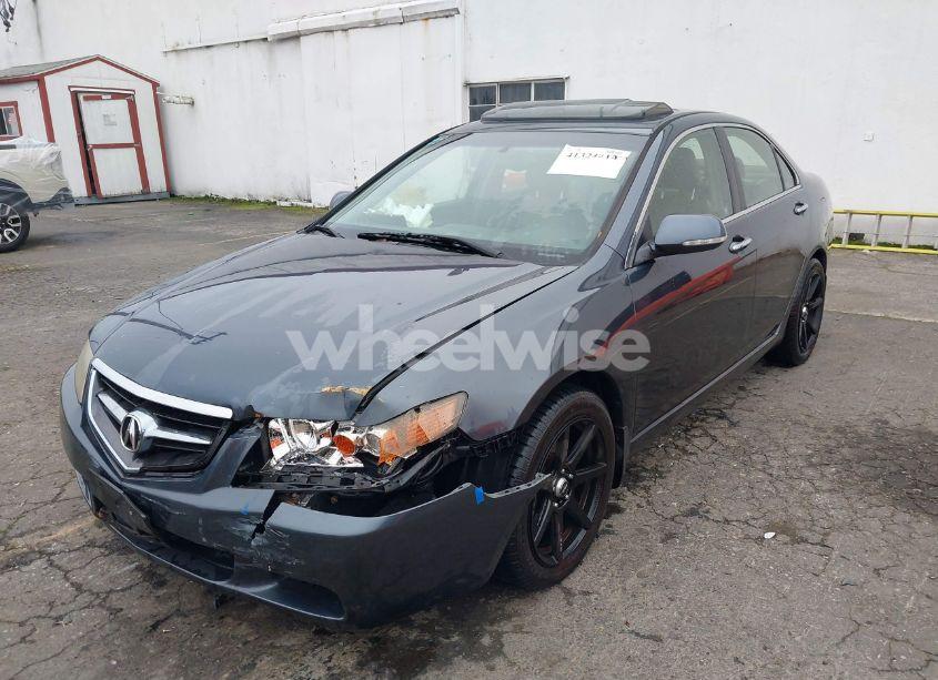 Photo 6 of 2004 Acura Tsx N/A (VIN JH4CL96894C043177)