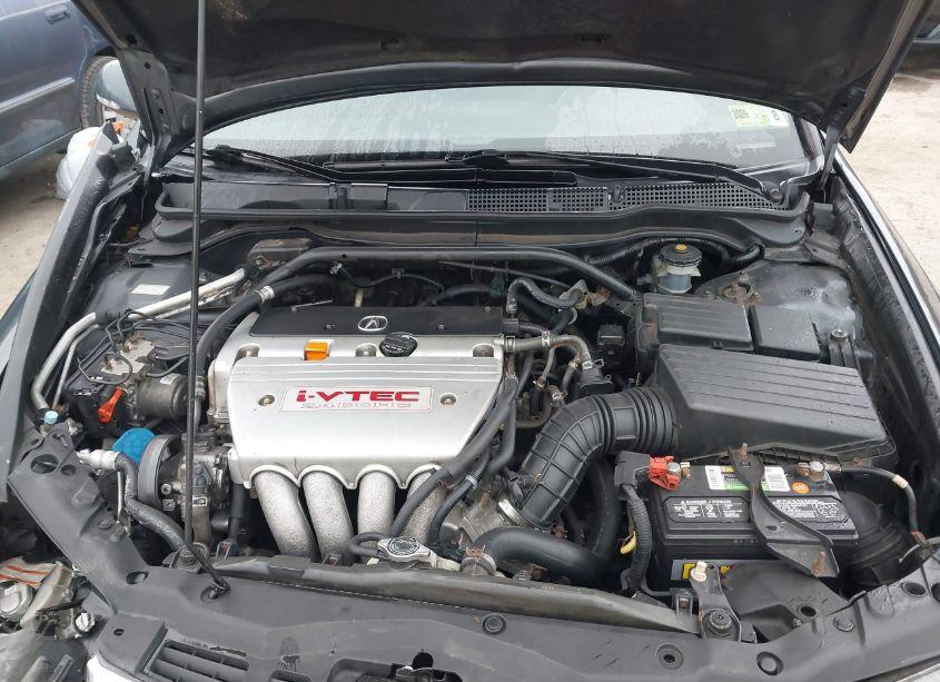 Photo 10 of 2006 Acura Tsx (VIN JH4CL96896C019075)