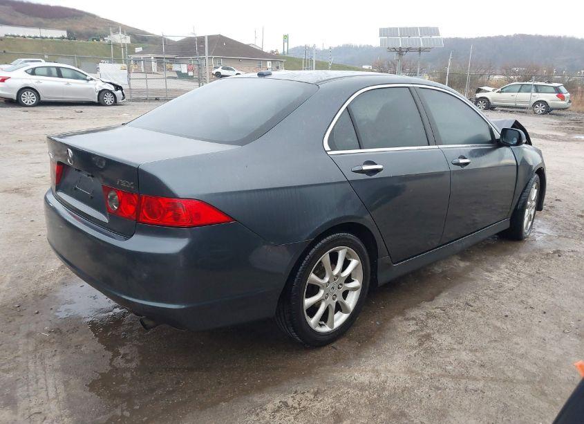 Photo 4 of 2006 Acura Tsx (VIN JH4CL96896C019075)