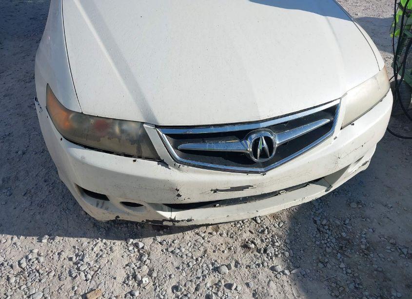 Photo 6 of 2006 Acura Tsx N/A (VIN JH4CL96896C036376)