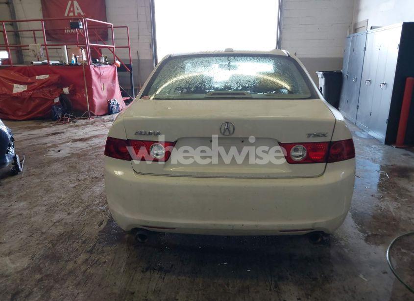 Photo 17 of 2007 Acura Tsx N/A (VIN JH4CL96897C016341)