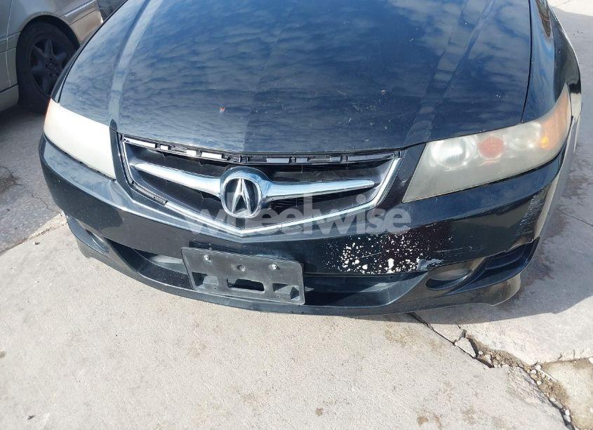 Photo 6 of 2008 Acura Tsx N/A (VIN JH4CL96908C014729)