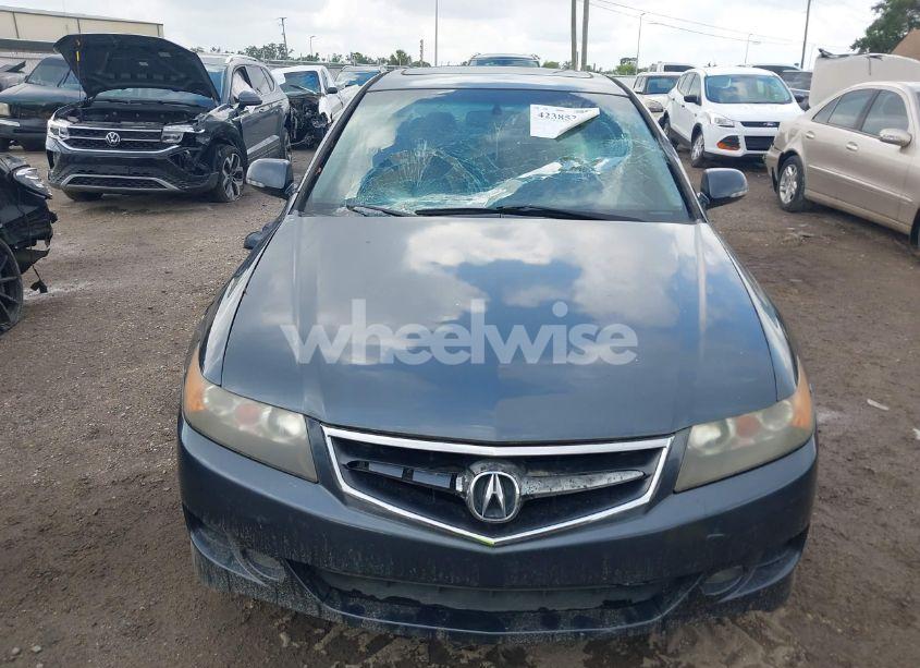Photo 12 of 2006 Acura Tsx N/A (VIN JH4CL96926C018486)
