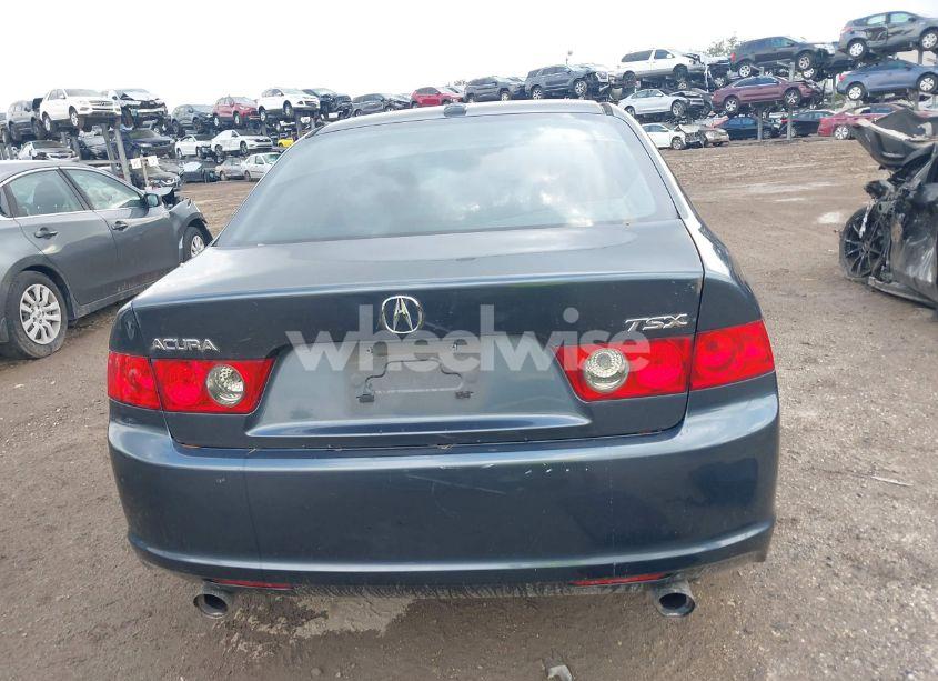 Photo 16 of 2006 Acura Tsx N/A (VIN JH4CL96926C018486)