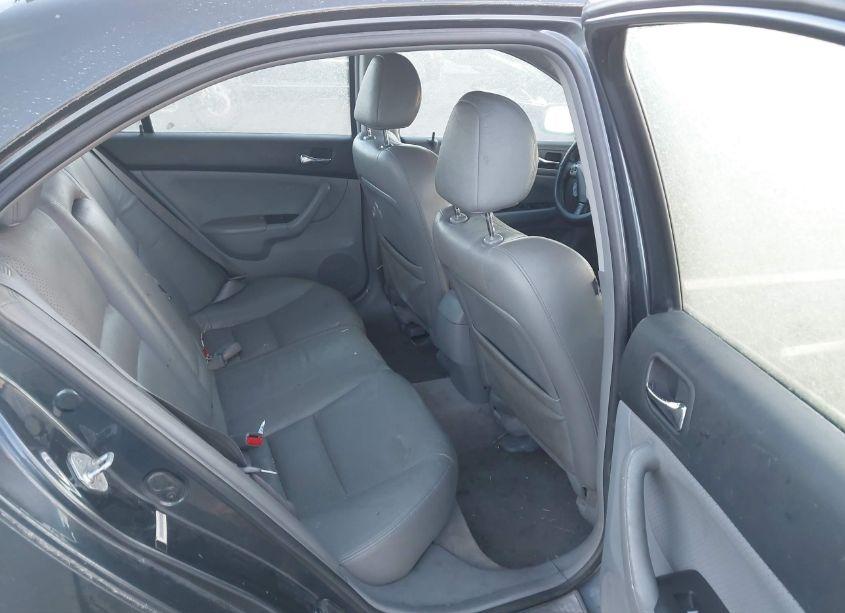 Photo 8 of 2006 Acura Tsx N/A (VIN JH4CL96936C008517)