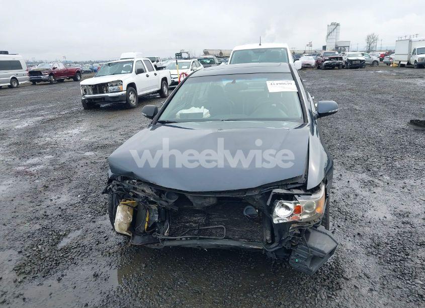 Photo 13 of 2006 Acura Tsx N/A (VIN JH4CL96936C037550)