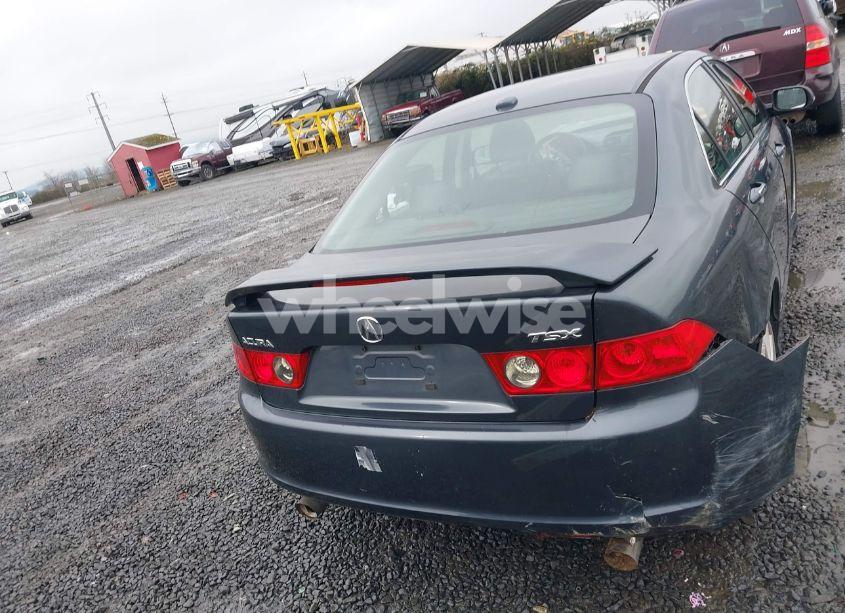 Photo 17 of 2006 Acura Tsx N/A (VIN JH4CL96936C037550)