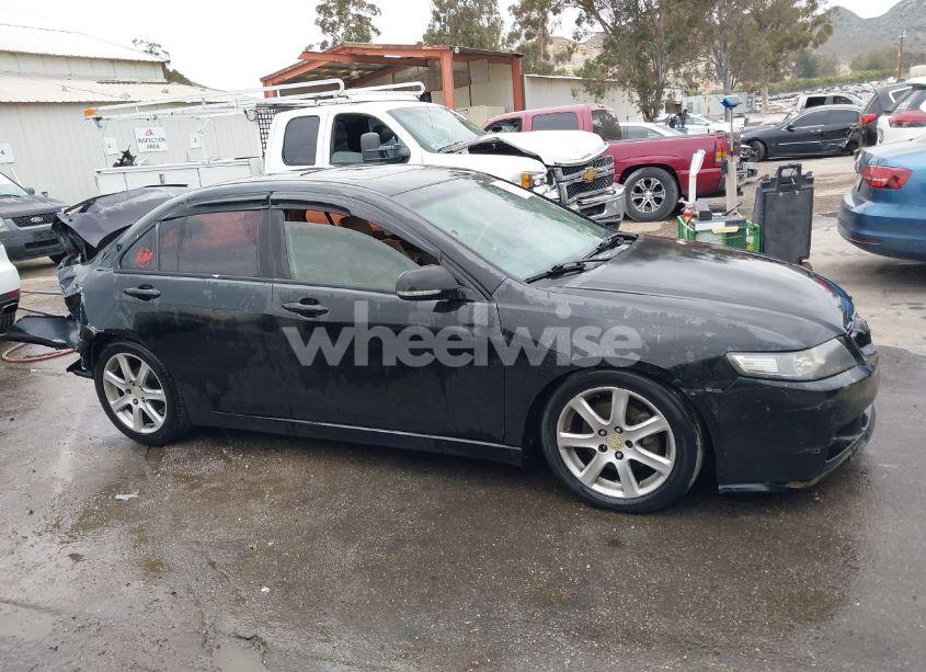 Photo 13 of 2004 Acura Tsx N/A (VIN JH4CL96954C003820)