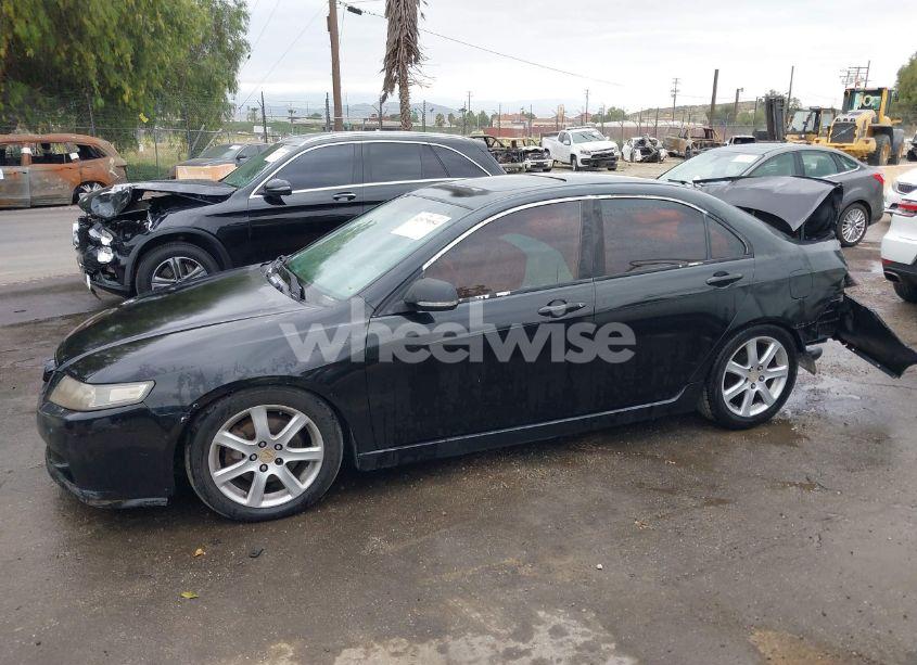 Photo 14 of 2004 Acura Tsx N/A (VIN JH4CL96954C003820)