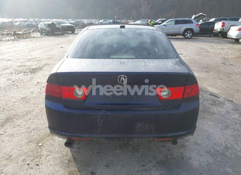Photo 16 of 2006 Acura Tsx N/A (VIN JH4CL96966C027935)