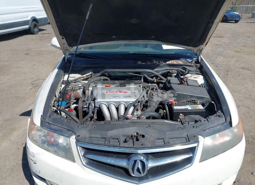 Photo 10 of 2006 Acura Tsx N/A (VIN JH4CL96976C027247)