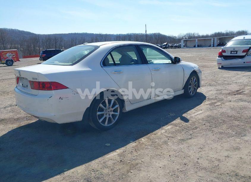 Photo 4 of 2006 Acura Tsx N/A (VIN JH4CL96976C027247)