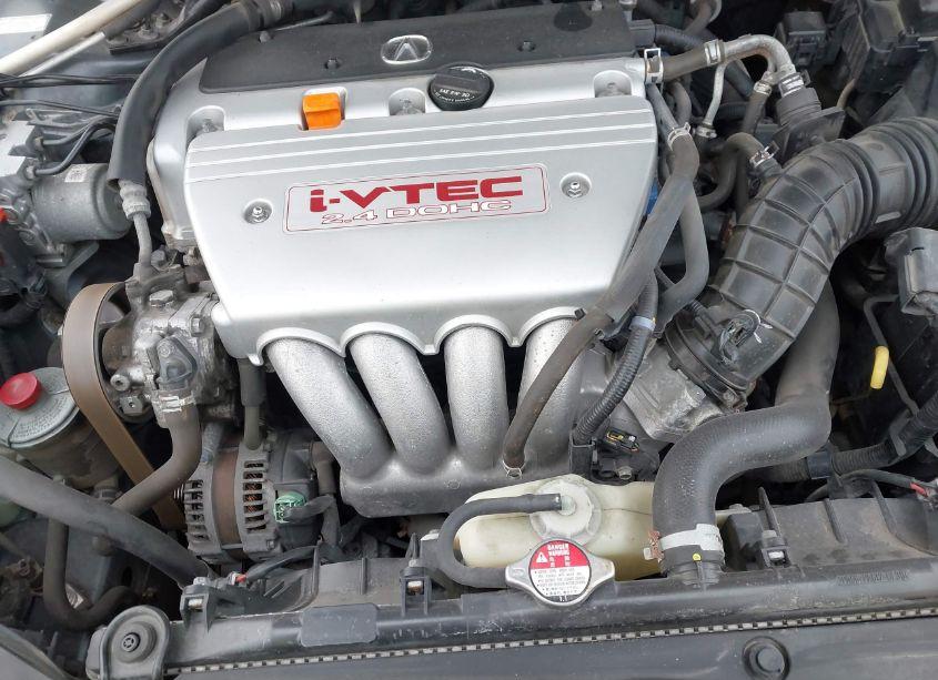 Photo 10 of 2008 Acura Tsx N/A (VIN JH4CL96988C004479)