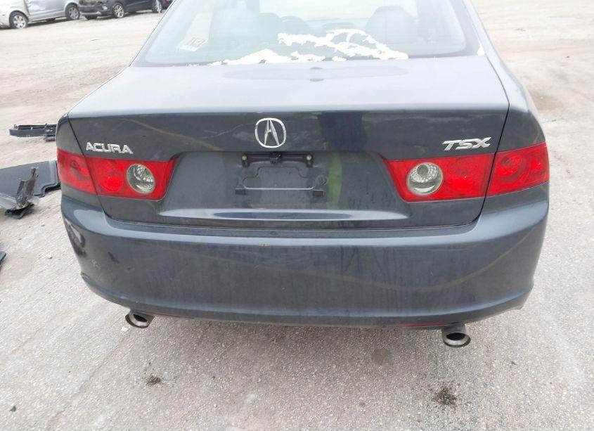 Photo 16 of 2008 Acura Tsx N/A (VIN JH4CL96988C004479)