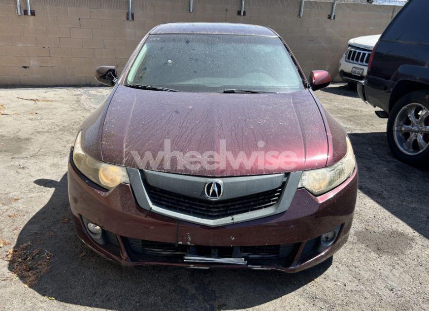 Photo 12 of 2009 Acura Tsx N/A (VIN JH4CU26609C035625)