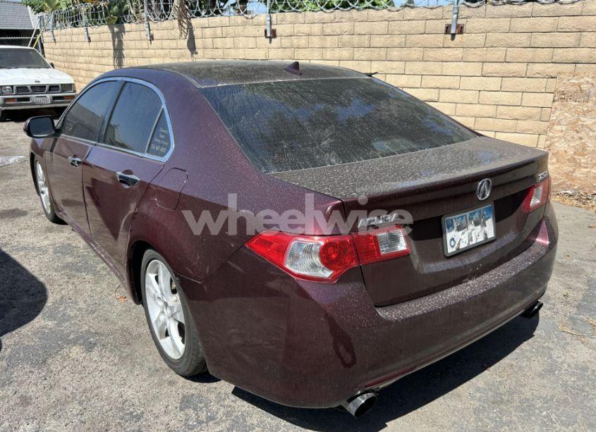 Photo 3 of 2009 Acura Tsx N/A (VIN JH4CU26609C035625)