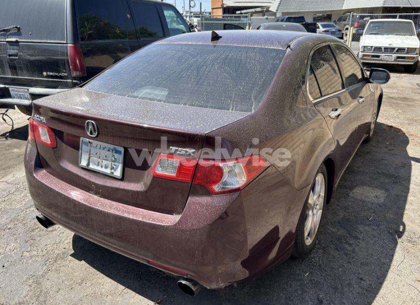 Photo 4 of 2009 Acura Tsx N/A (VIN JH4CU26609C035625)