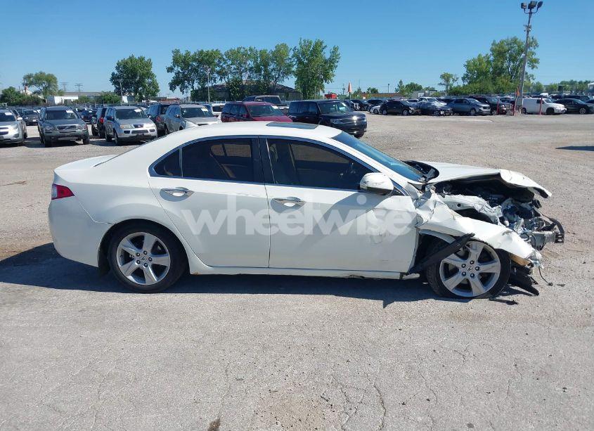 Photo 14 of 2009 Acura Tsx N/A (VIN JH4CU26619C010409)