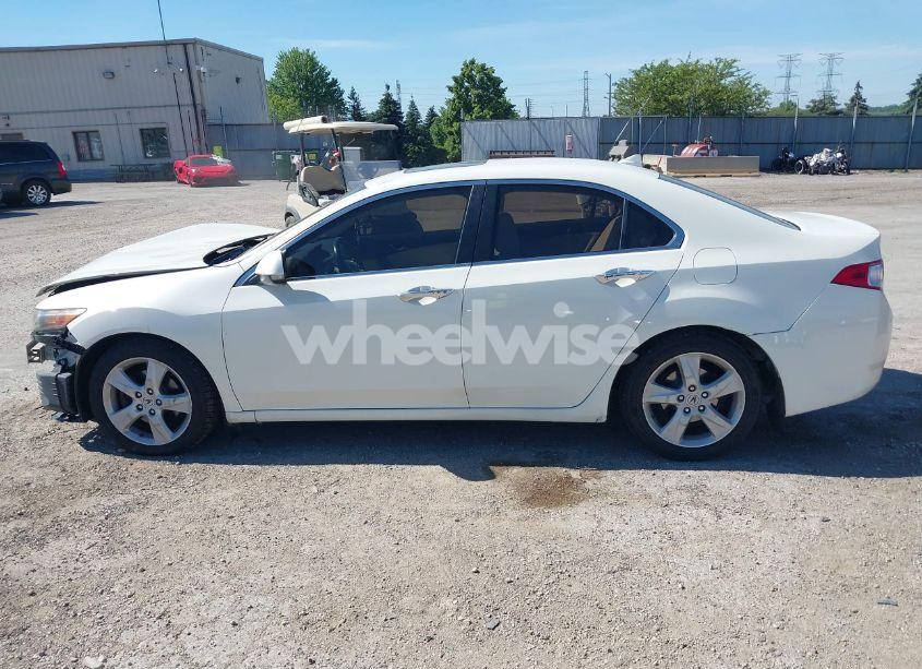 Photo 15 of 2009 Acura Tsx N/A (VIN JH4CU26619C010409)