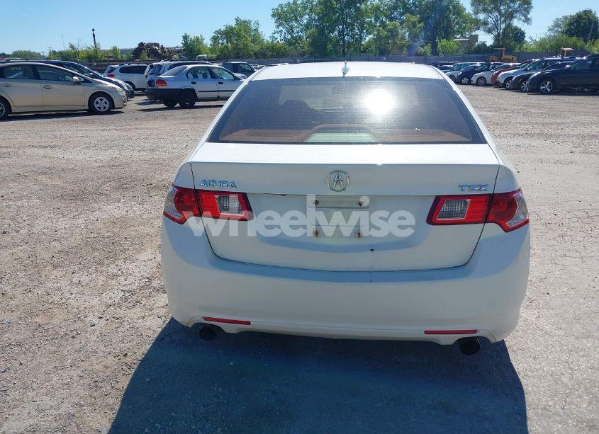 Photo 17 of 2009 Acura Tsx N/A (VIN JH4CU26619C010409)