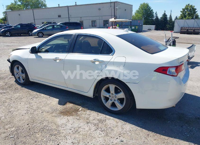 Photo 3 of 2009 Acura Tsx N/A (VIN JH4CU26619C010409)