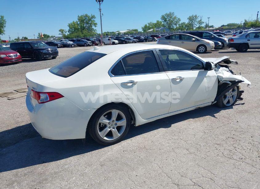 Photo 4 of 2009 Acura Tsx N/A (VIN JH4CU26619C010409)