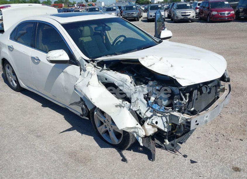 Photo 6 of 2009 Acura Tsx N/A (VIN JH4CU26619C010409)