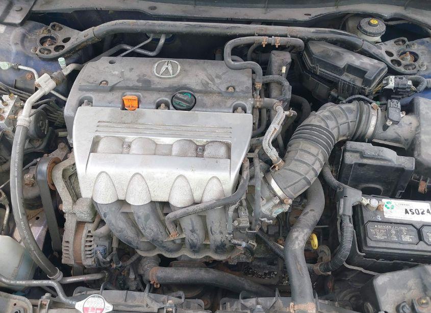 Photo 10 of 2009 Acura Tsx (VIN JH4CU26619C013620)