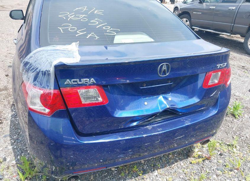 Photo 6 of 2009 Acura Tsx (VIN JH4CU26619C013620)