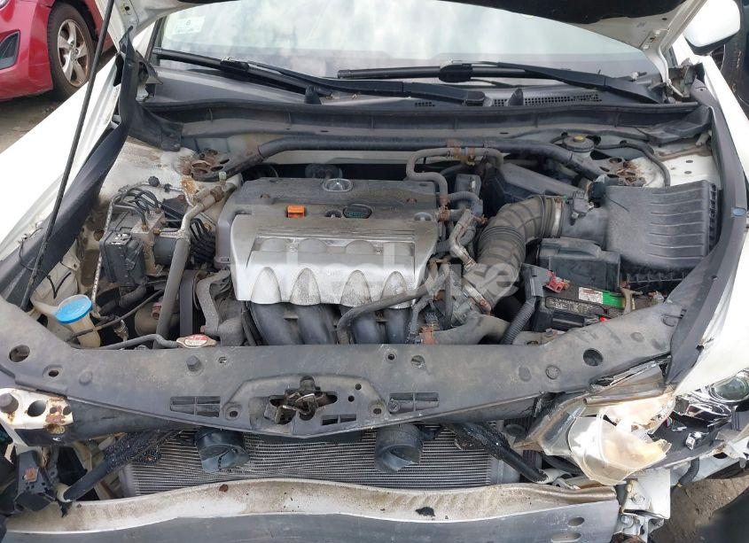 Photo 10 of 2009 Acura Tsx N/A (VIN JH4CU26619C018378)