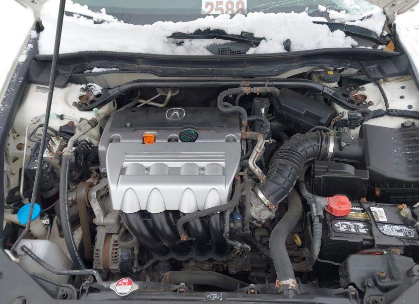 Photo 10 of 2009 Acura Tsx (VIN JH4CU26619C024150)