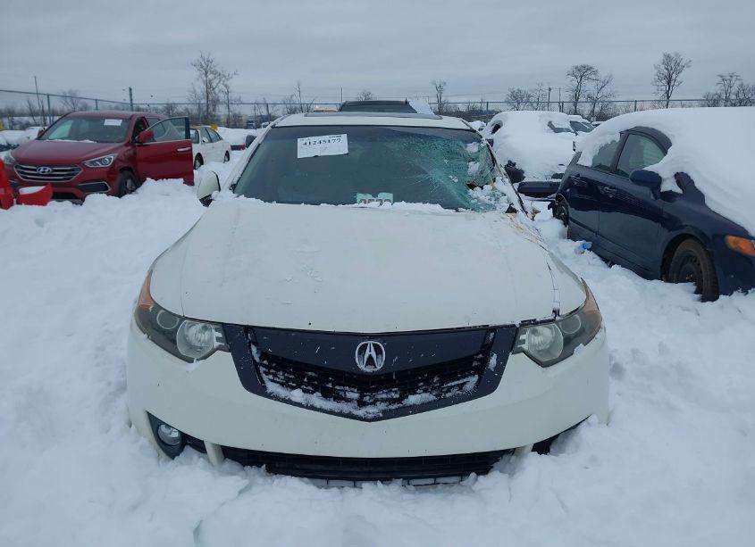 Photo 12 of 2009 Acura Tsx (VIN JH4CU26619C024150)