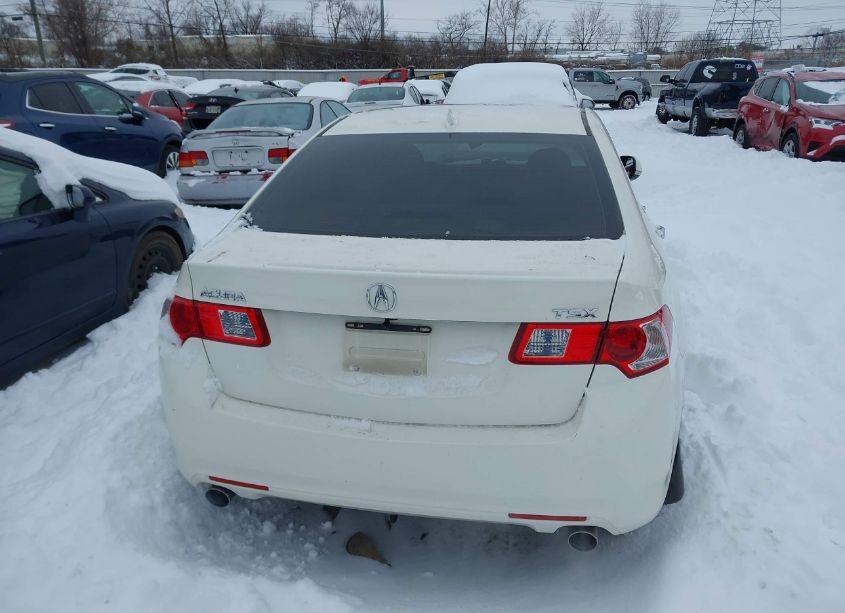 Photo 16 of 2009 Acura Tsx (VIN JH4CU26619C024150)