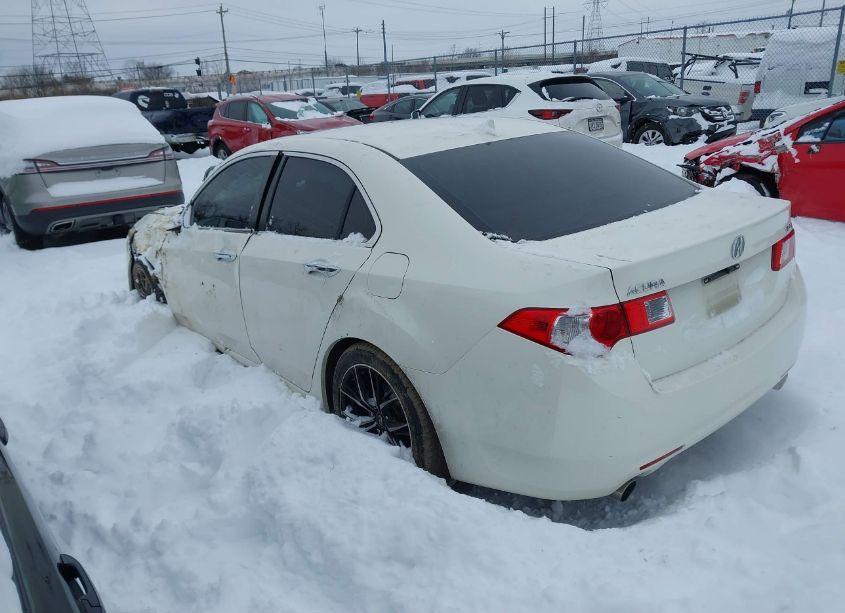 Photo 3 of 2009 Acura Tsx (VIN JH4CU26619C024150)