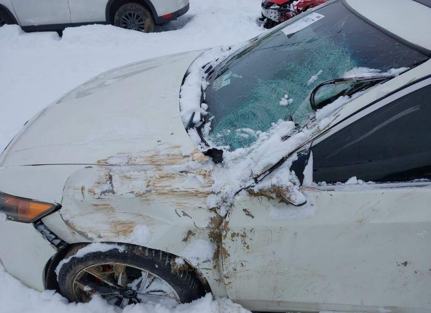 Photo 6 of 2009 Acura Tsx (VIN JH4CU26619C024150)