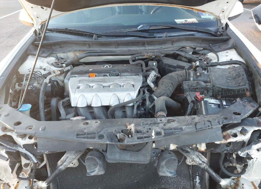 Photo 10 of 2009 Acura Tsx (VIN JH4CU26629C014467)