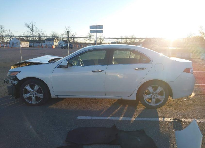 Photo 14 of 2009 Acura Tsx (VIN JH4CU26629C014467)