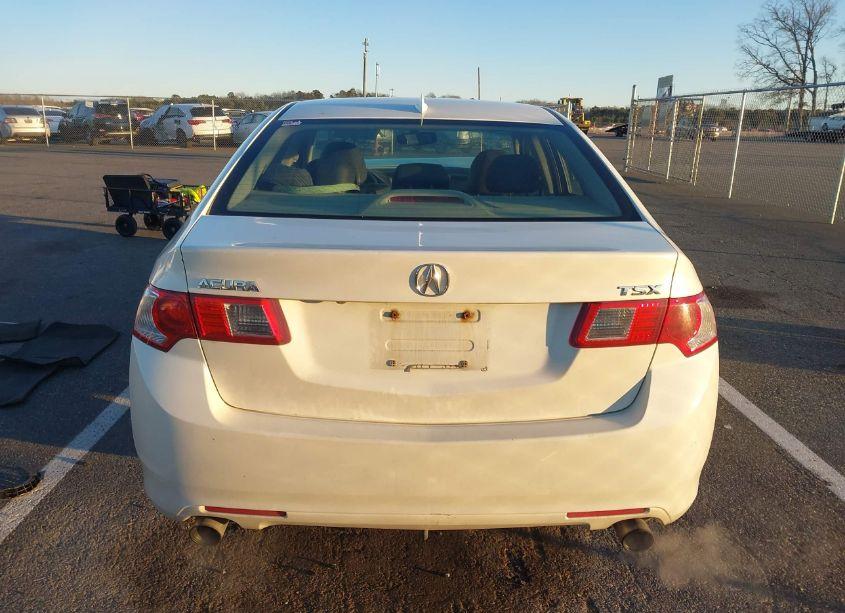 Photo 16 of 2009 Acura Tsx (VIN JH4CU26629C014467)