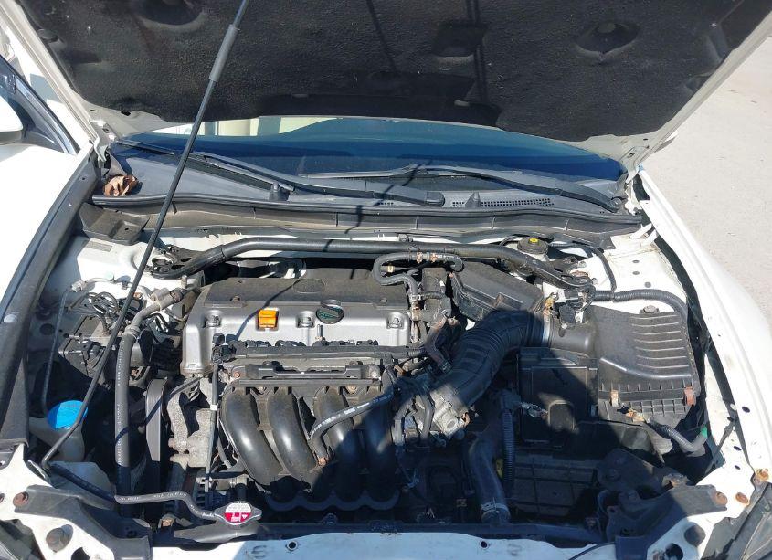 Photo 10 of 2009 Acura Tsx (VIN JH4CU26629C034282)