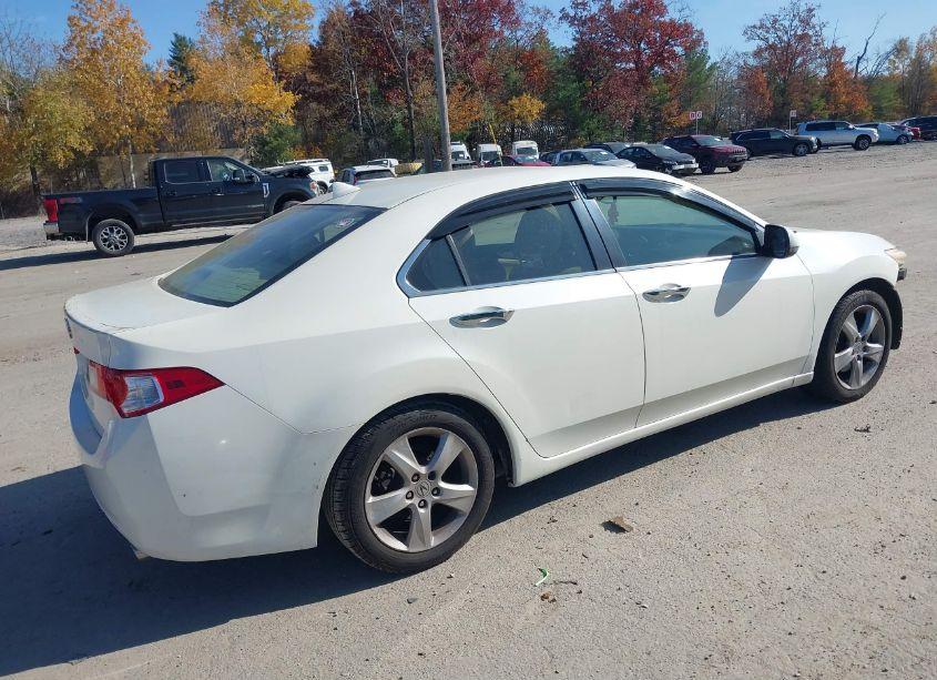 Photo 4 of 2009 Acura Tsx (VIN JH4CU26629C034282)